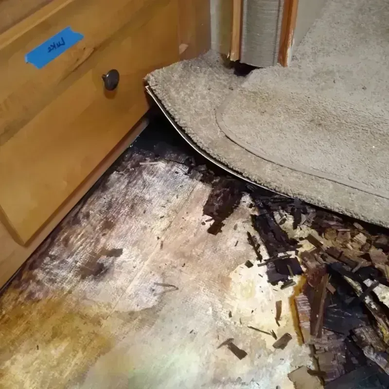 Best Wood Floor Water Damage Service in Hesston, KS